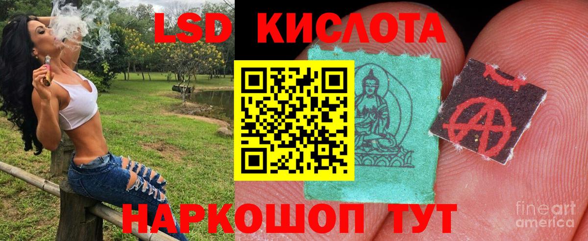 Пугачёв  Марки N-bome 1,8мг  Вход с VPN 