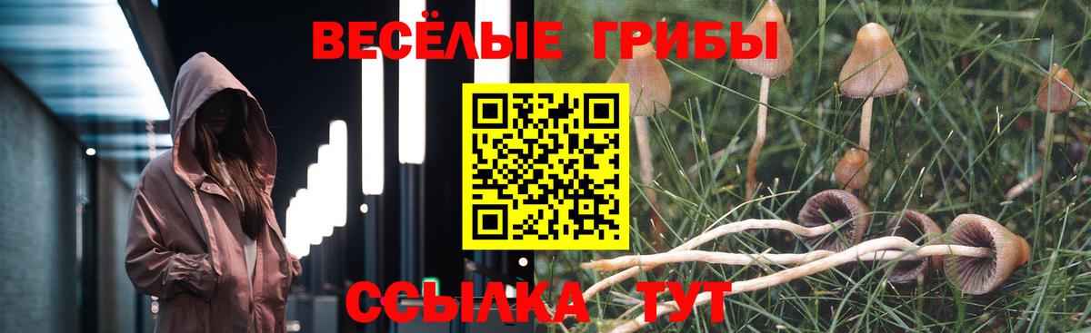 Пугачёв  Галлюциногенные грибы мицелий  как найти закладки  Галлюциногенные грибы Psilocybine cubensis  Вход с VPN 